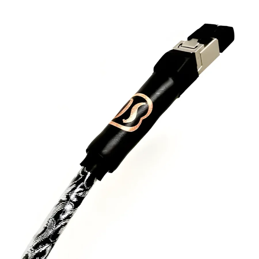 SKOGRAND CABLES<br>BEETHOVEN MK2 ETHERNET RJ-45 NETWORK 線